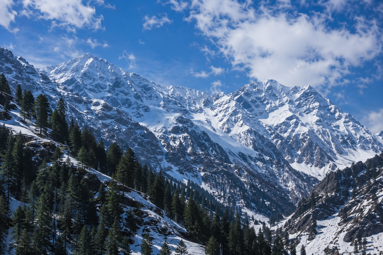 Manali Snow View